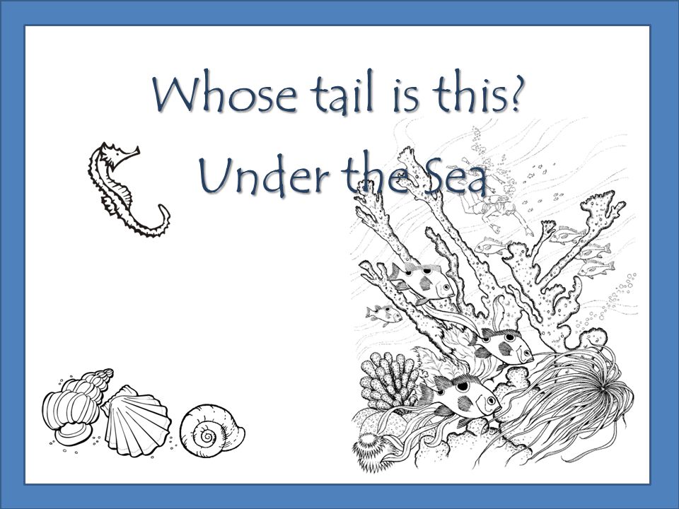 Whose tail is this Under the Sea