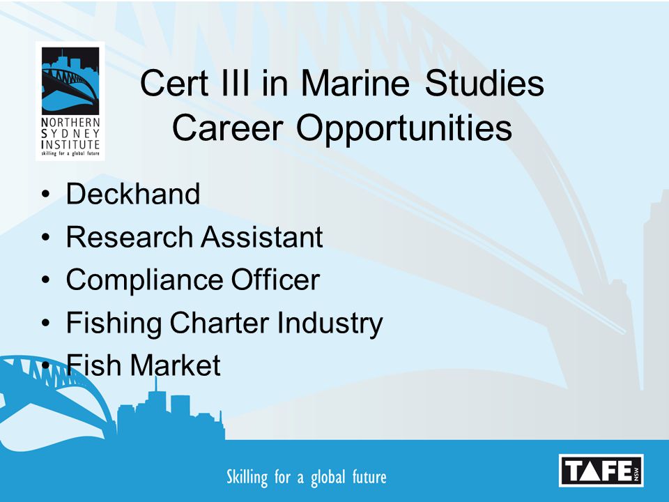 Cert III in Marine Studies Career Opportunities