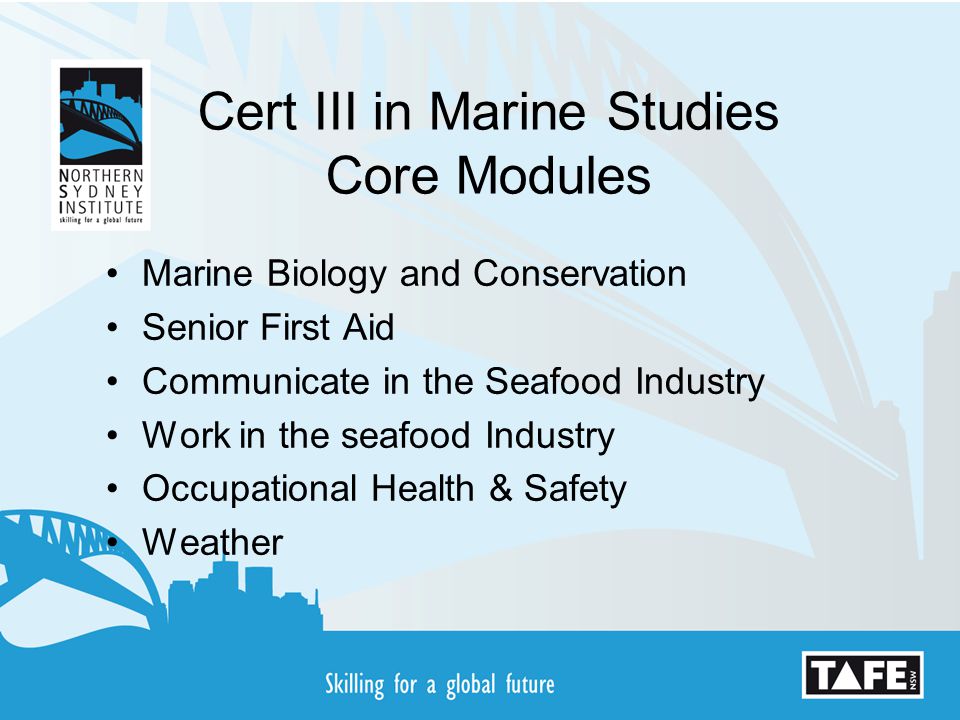 Cert III in Marine Studies Core Modules