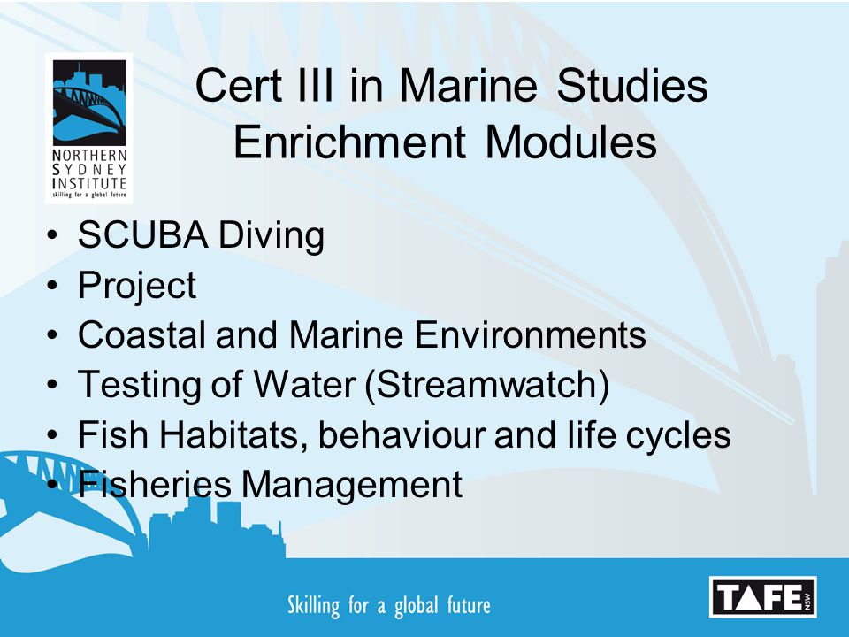 Cert III in Marine Studies Enrichment Modules