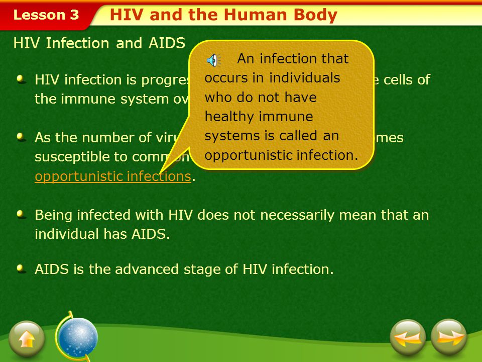 HIV and the Human Body HIV Infection and AIDS