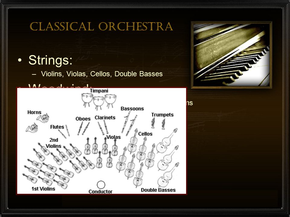 Strings: Woodwind: Brass: Percussion: Classical Orchestra