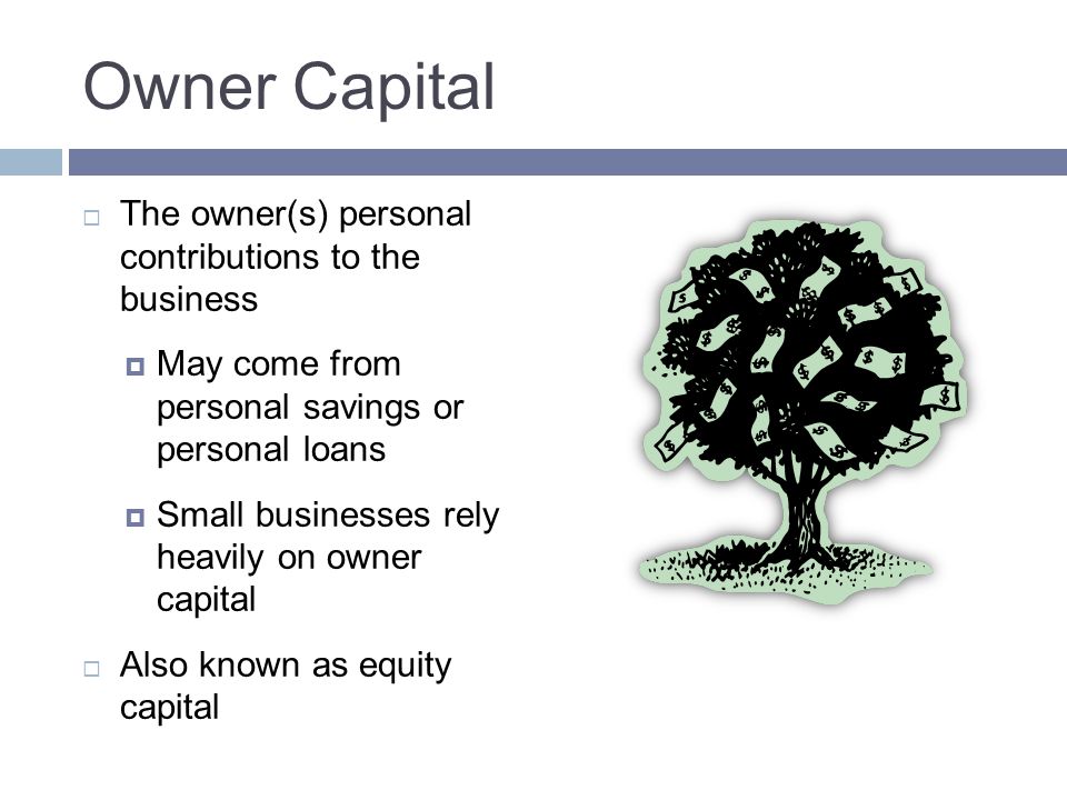 Owner Capital The owner(s) personal contributions to the business