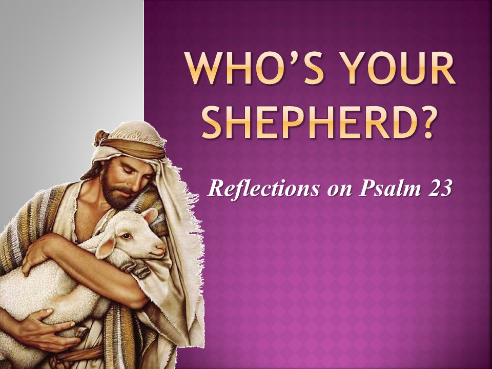 Who’s Your Shepherd Reflections on Psalm 23