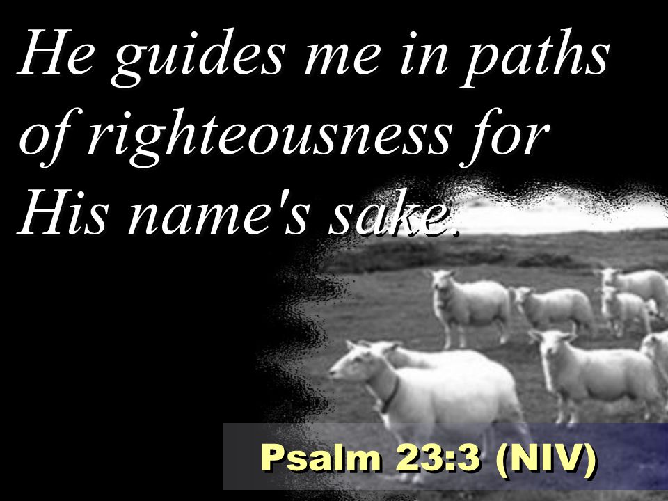He guides me in paths of righteousness for His name s sake.