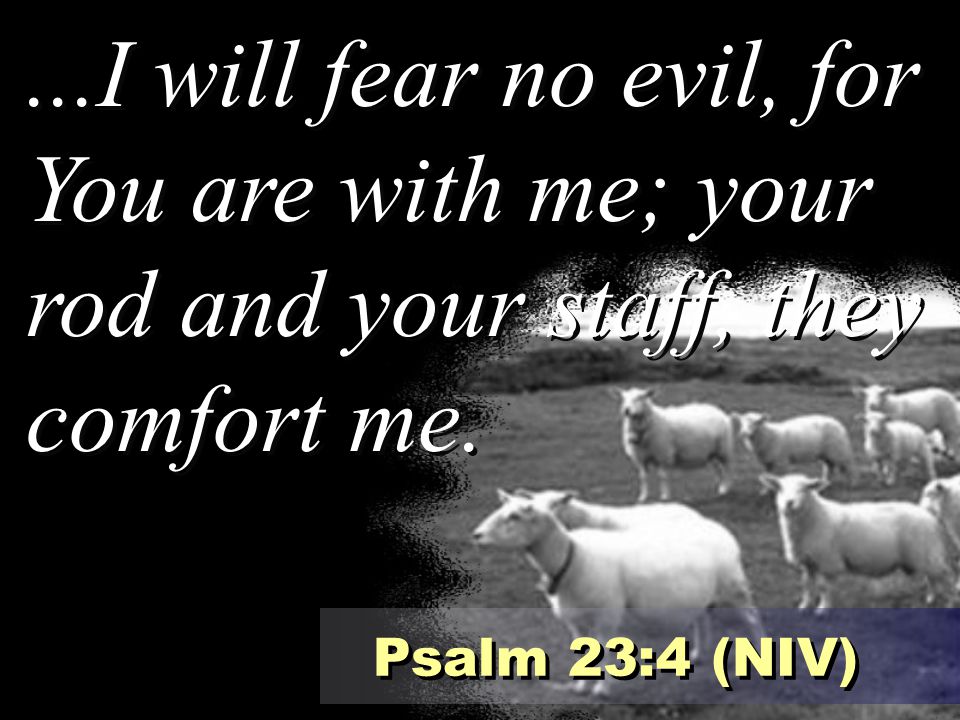 ...I will fear no evil, for You are with me; your rod and your staff, they comfort me.