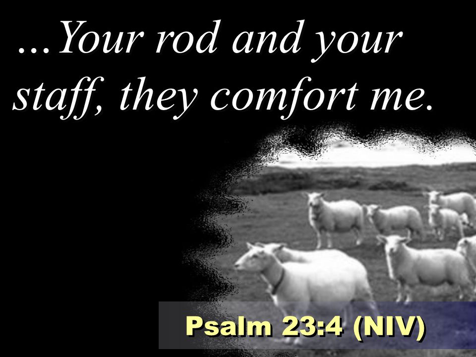 …Your rod and your staff, they comfort me.