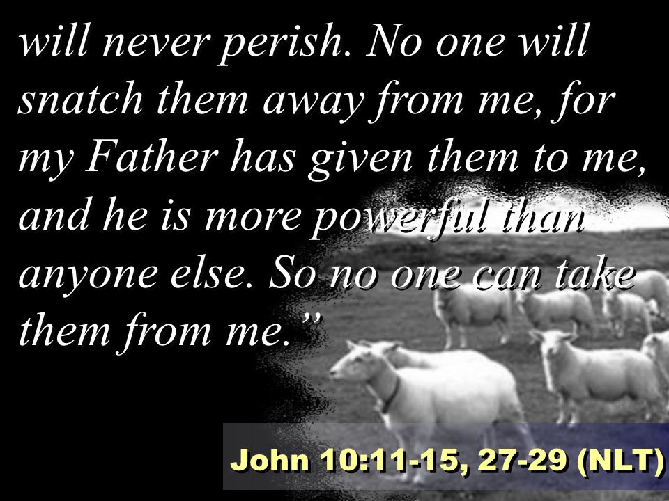 will never perish. No one will snatch them away from me, for my Father has given them to me, and he is more powerful than anyone else. So no one can take them from me.