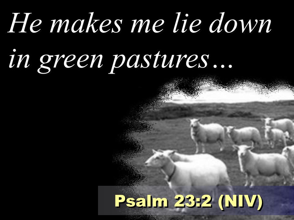 He makes me lie down in green pastures…