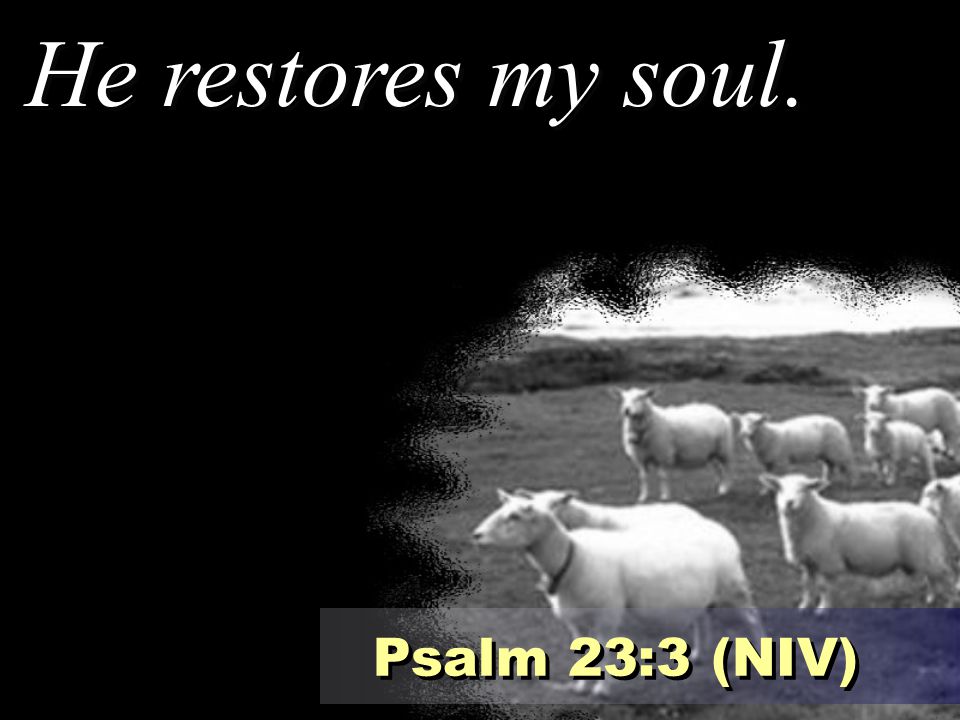 He restores my soul. Psalm 23:3 (NIV)