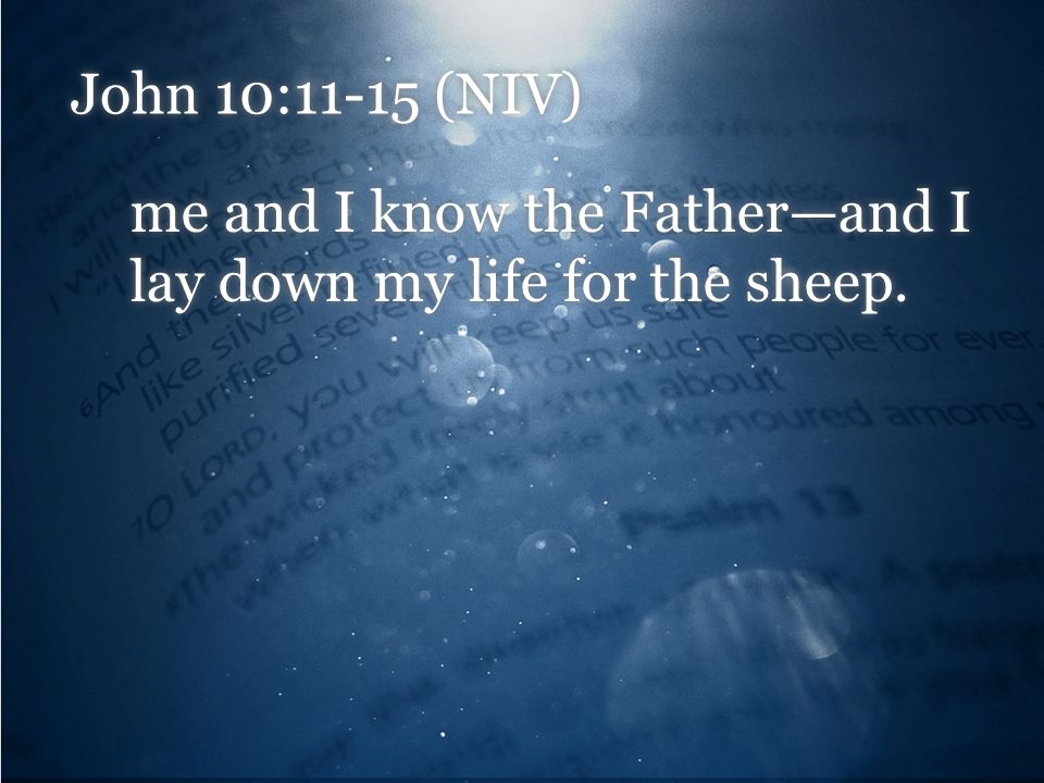 John 10:11-15 (NIV) me and I know the Father—and I lay down my life for the sheep.