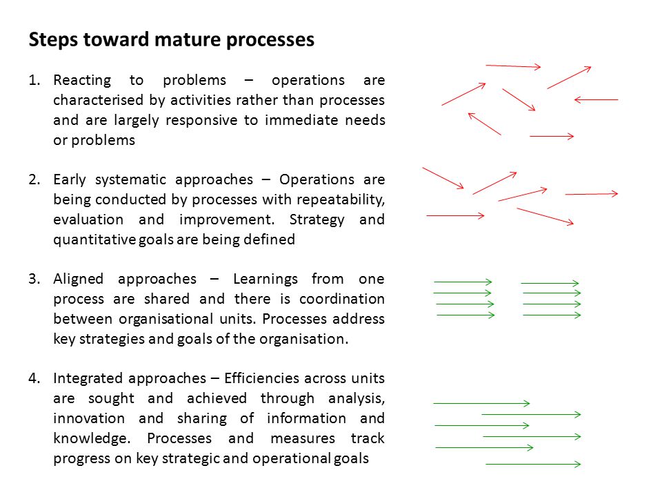 Steps toward mature processes