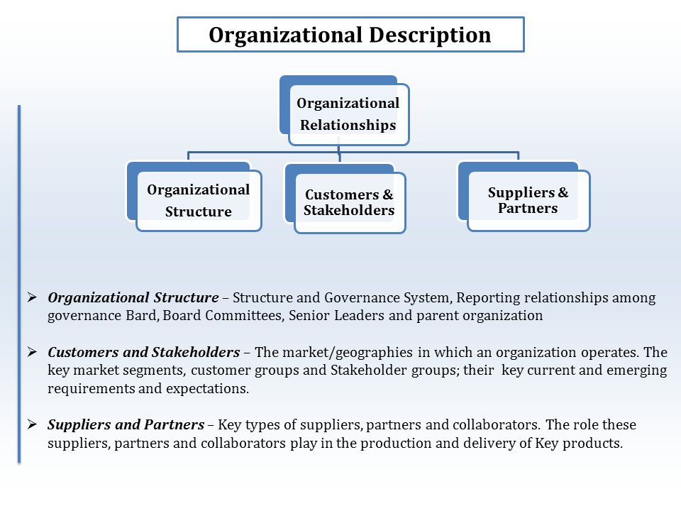 Organizational Description