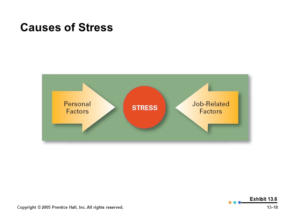 Causes of Stress Exhibit 13.6