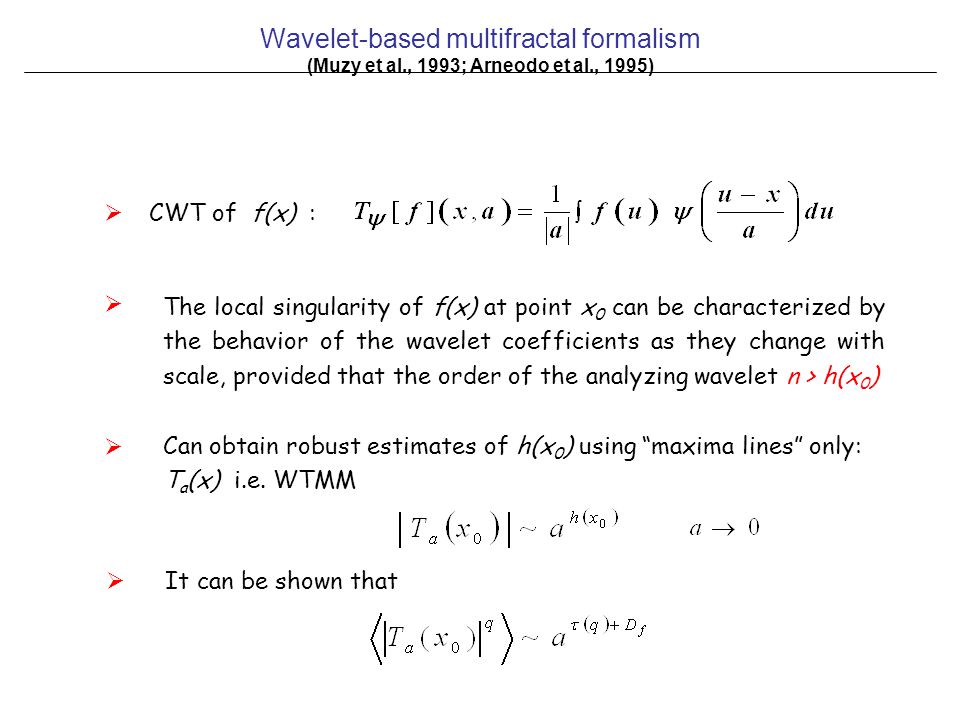 Wavelet-based multifractal formalism (Muzy et al., 1993; Arneodo et al., 1995)