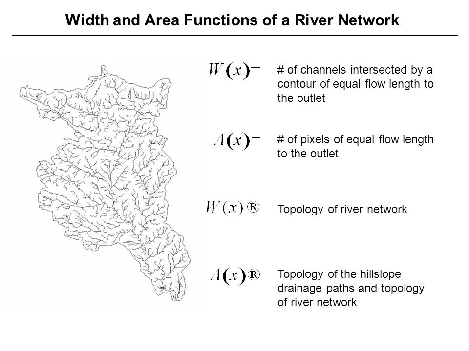 Width and Area Functions of a River Network