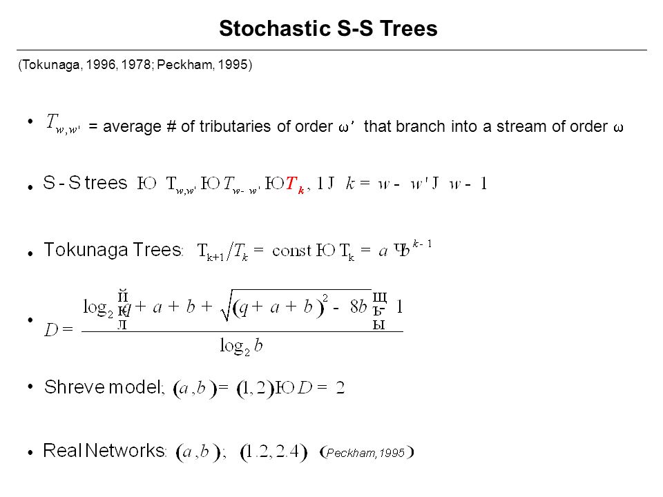 Stochastic S-S Trees (Tokunaga, 1996, 1978; Peckham, 1995) • = average # of tributaries of order w¢ that branch into a stream of order w.