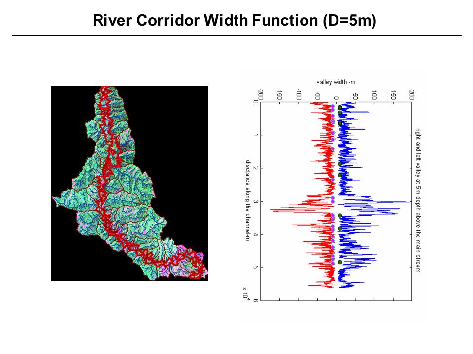 River Corridor Width Function (D=5m)