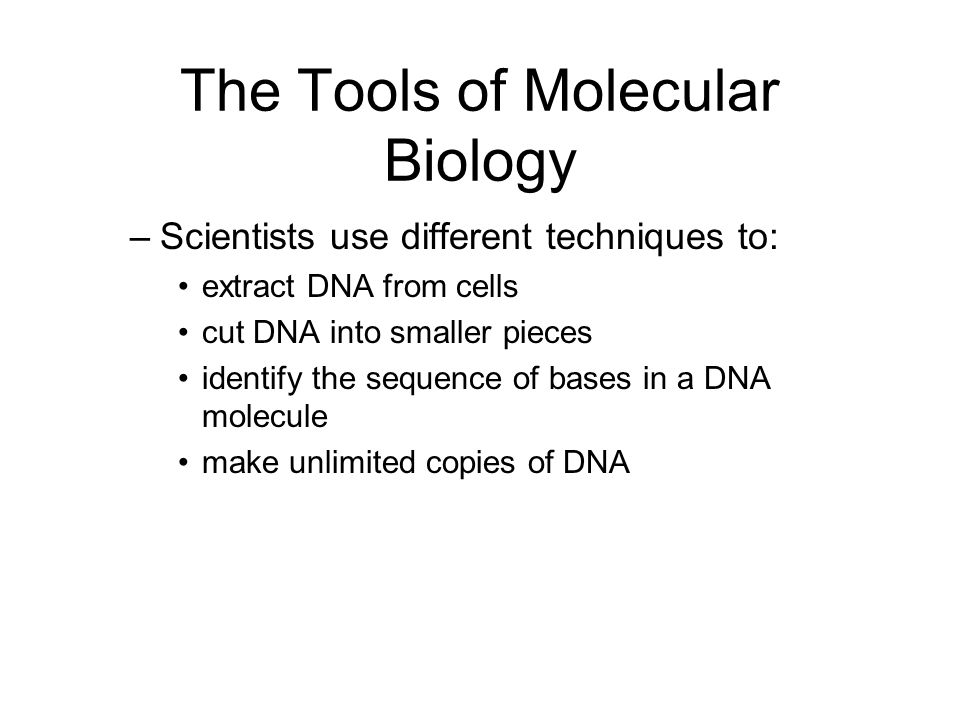The Tools of Molecular Biology
