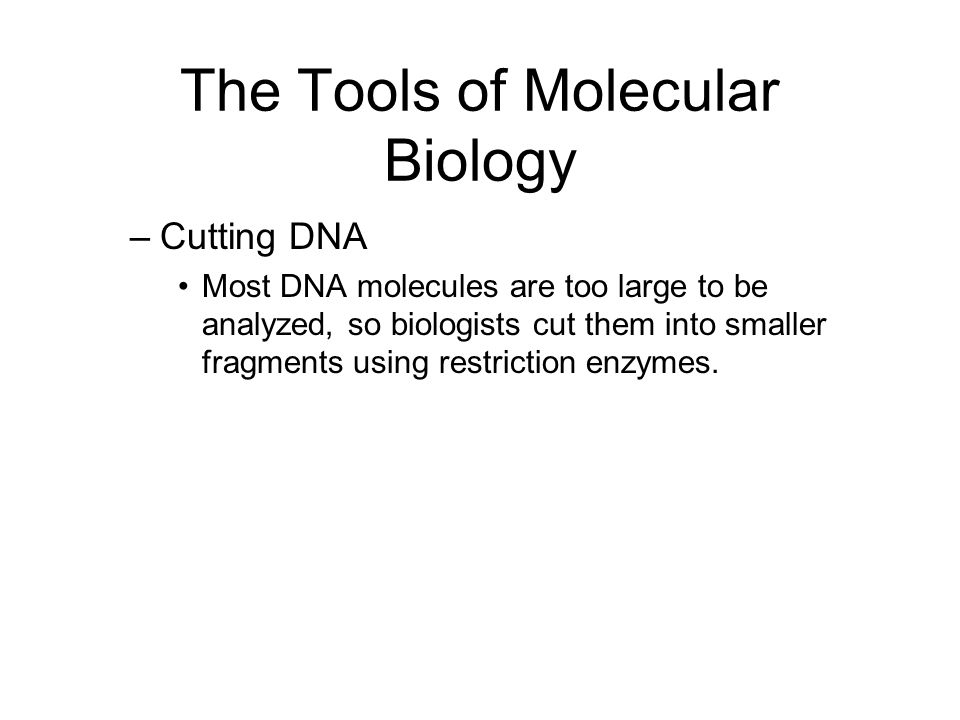 The Tools of Molecular Biology