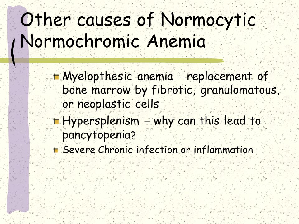 Other causes of Normocytic Normochromic Anemia