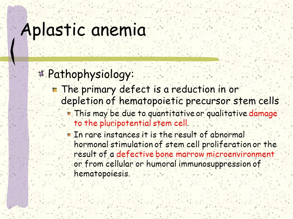 Aplastic anemia Pathophysiology: