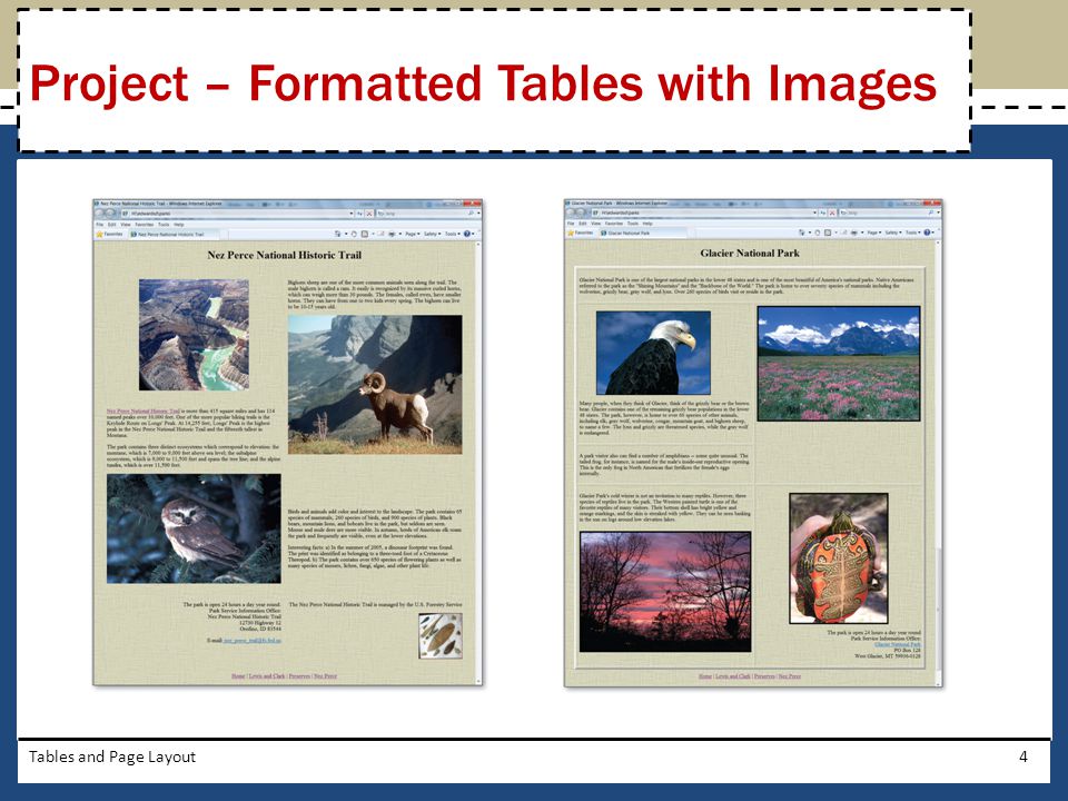 Project – Formatted Tables with Images