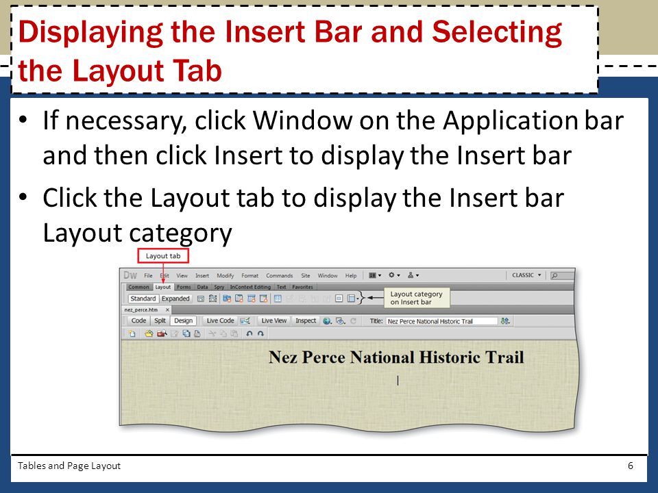 Displaying the Insert Bar and Selecting the Layout Tab