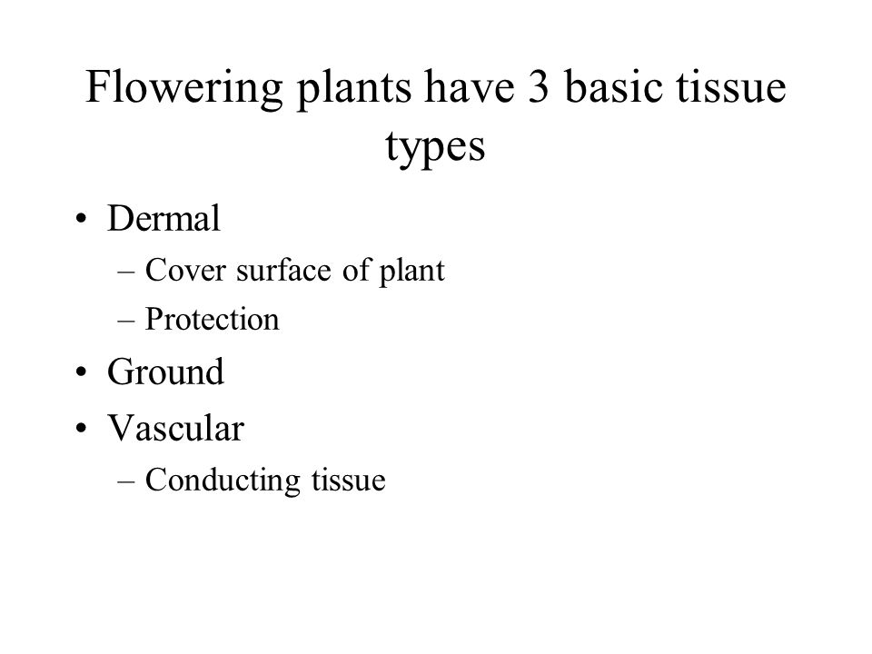 Flowering plants have 3 basic tissue types