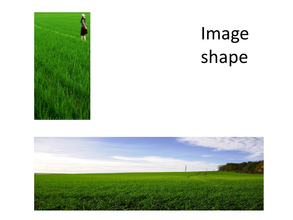 Image shape. A second image characteristic is its shape – is it tall and thin, short and wide, square