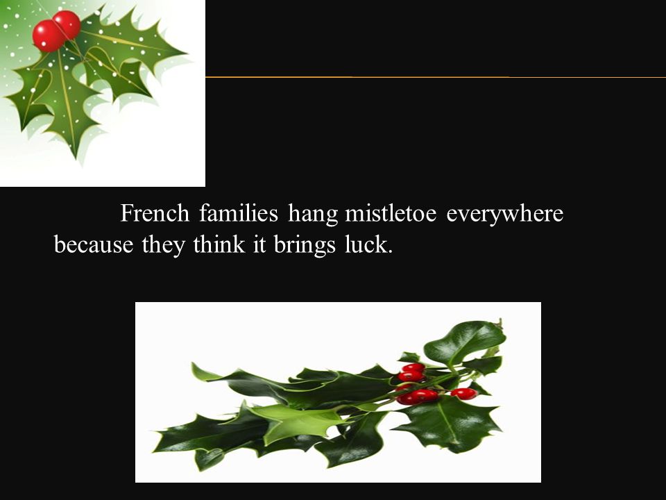 French families hang mistletoe everywhere because they think it brings luck.
