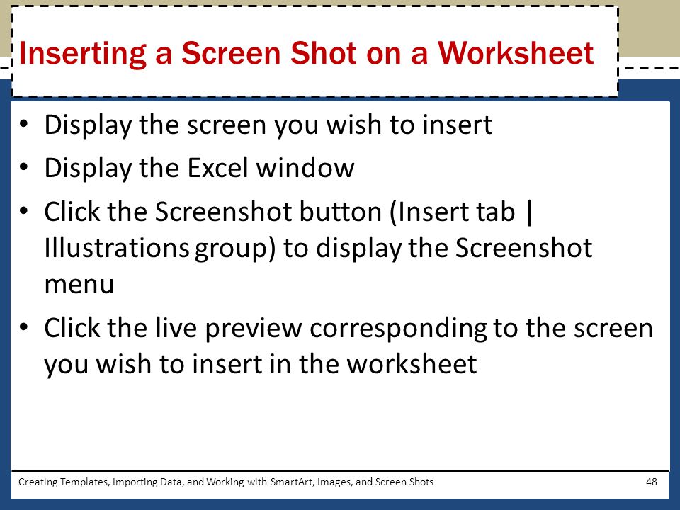 Inserting a Screen Shot on a Worksheet