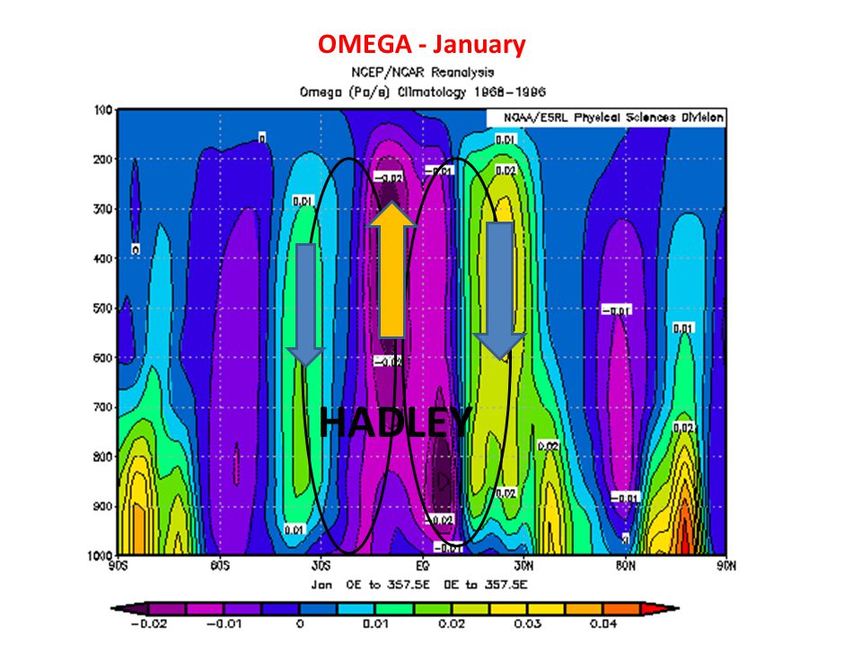OMEGA - January HADLEY