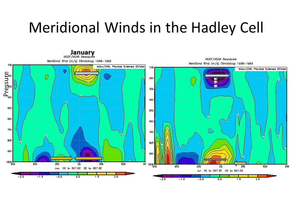 Meridional Winds in the Hadley Cell