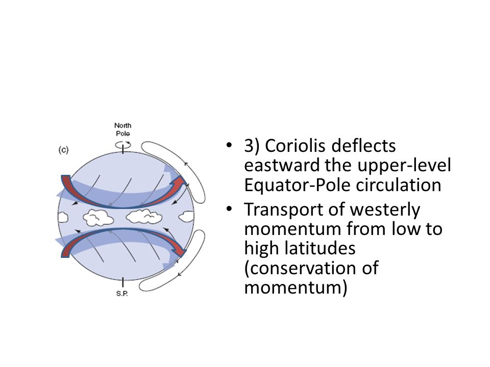 3) Coriolis deflects eastward the upper-level Equator-Pole circulation