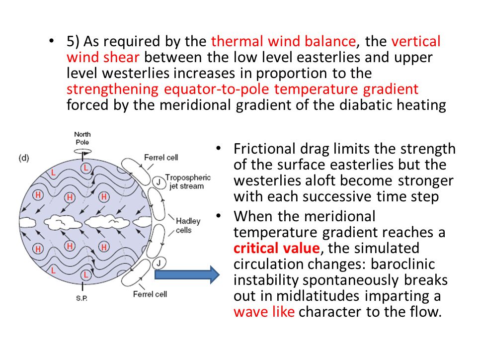 5) As required by the thermal wind balance, the vertical wind shear between the low level easterlies and upper level westerlies increases in proportion to the strengthening equator-to-pole temperature gradient forced by the meridional gradient of the diabatic heating