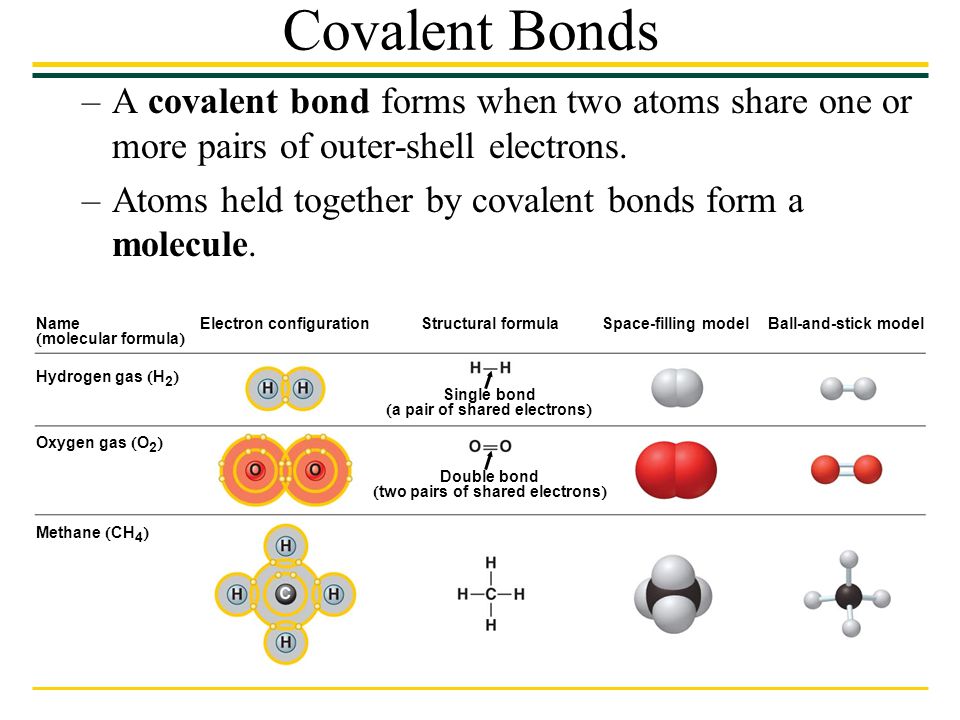 a pair of shared electrons two pairs of shared electrons