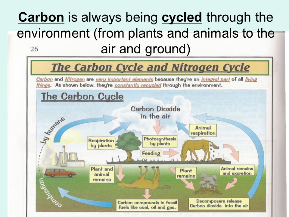 Carbon is always being cycled through the environment (from plants and animals to the air and ground)