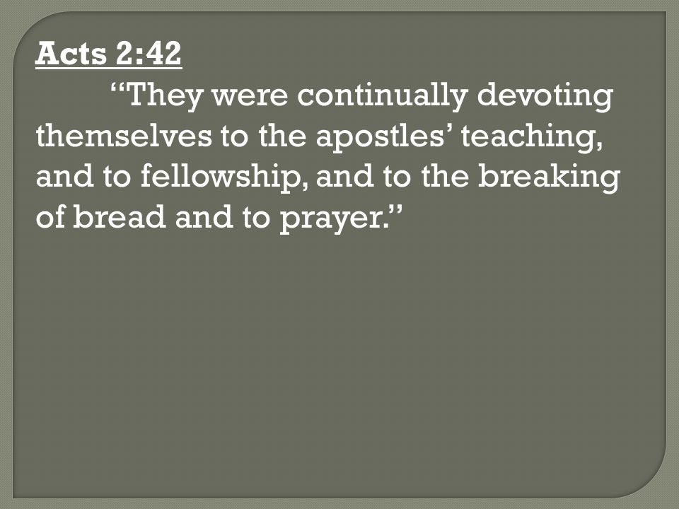 Acts 2:42 They were continually devoting themselves to the apostles’ teaching, and to fellowship, and to the breaking of bread and to prayer.