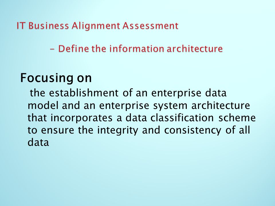 IT Business Alignment Assessment - Define the information architecture