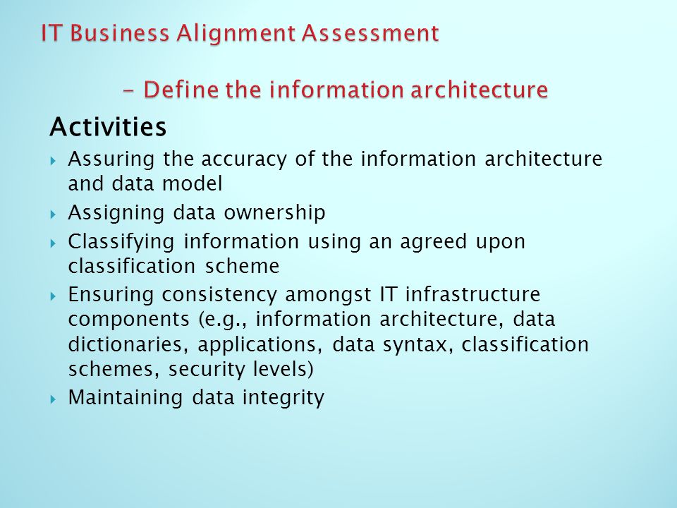 IT Business Alignment Assessment - Define the information architecture
