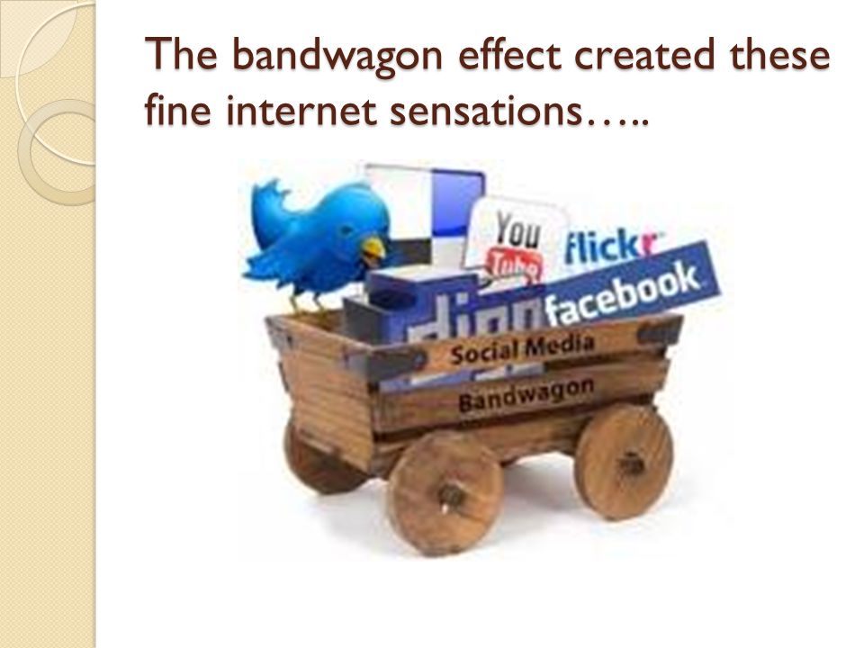 The bandwagon effect created these fine internet sensations…..