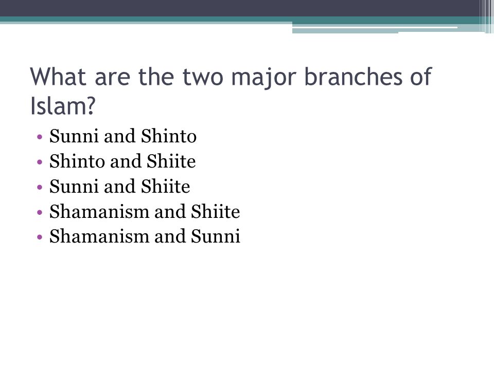 What are the two major branches of Islam