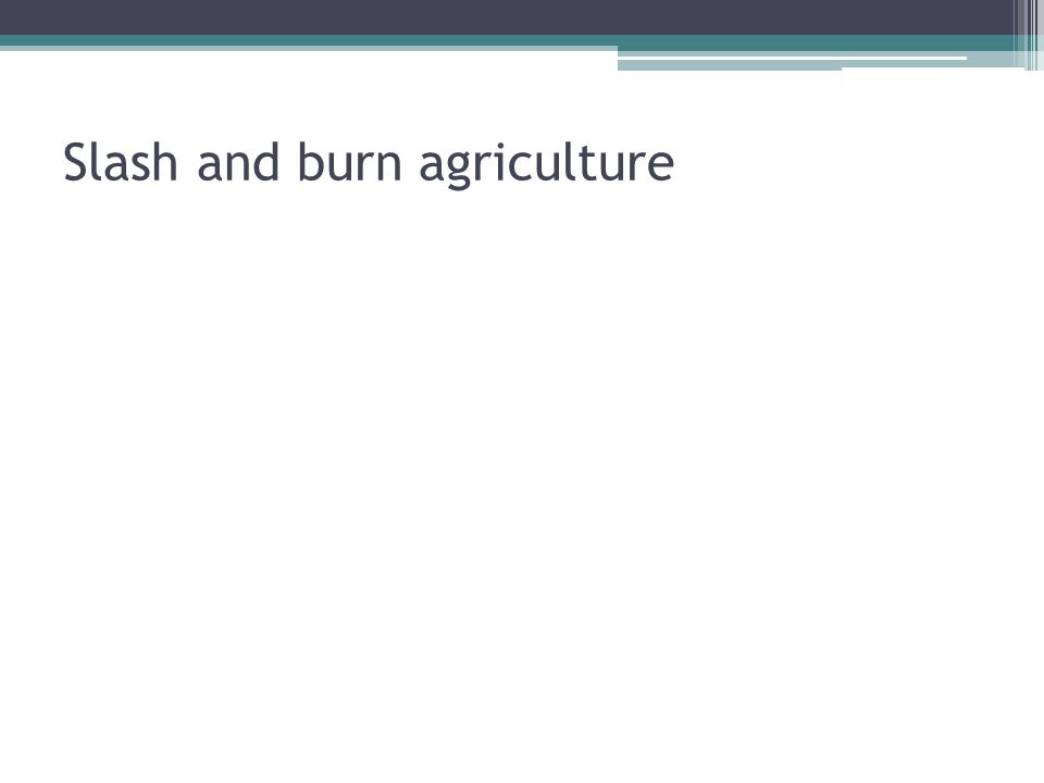 Slash and burn agriculture