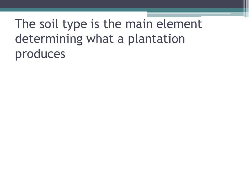 The soil type is the main element determining what a plantation produces