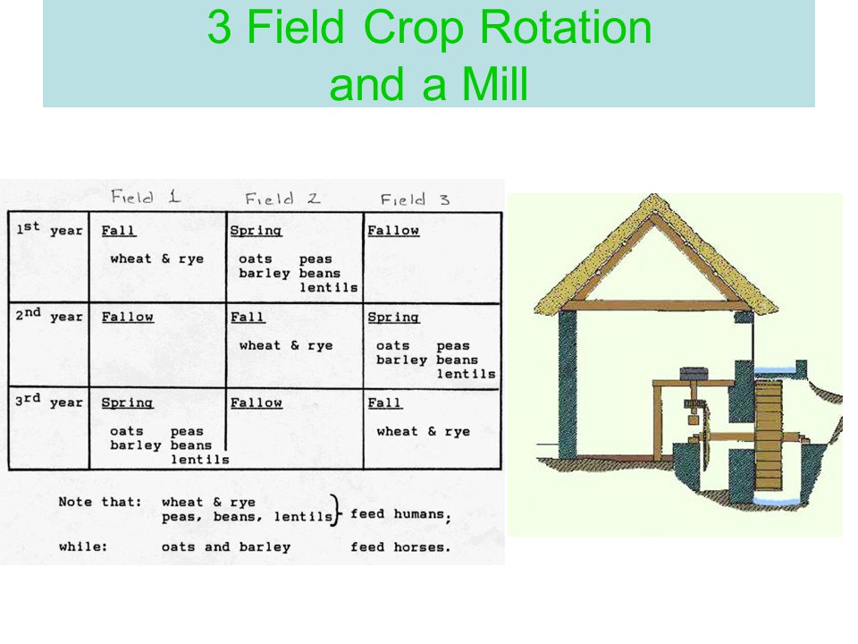 3 Field Crop Rotation and a Mill