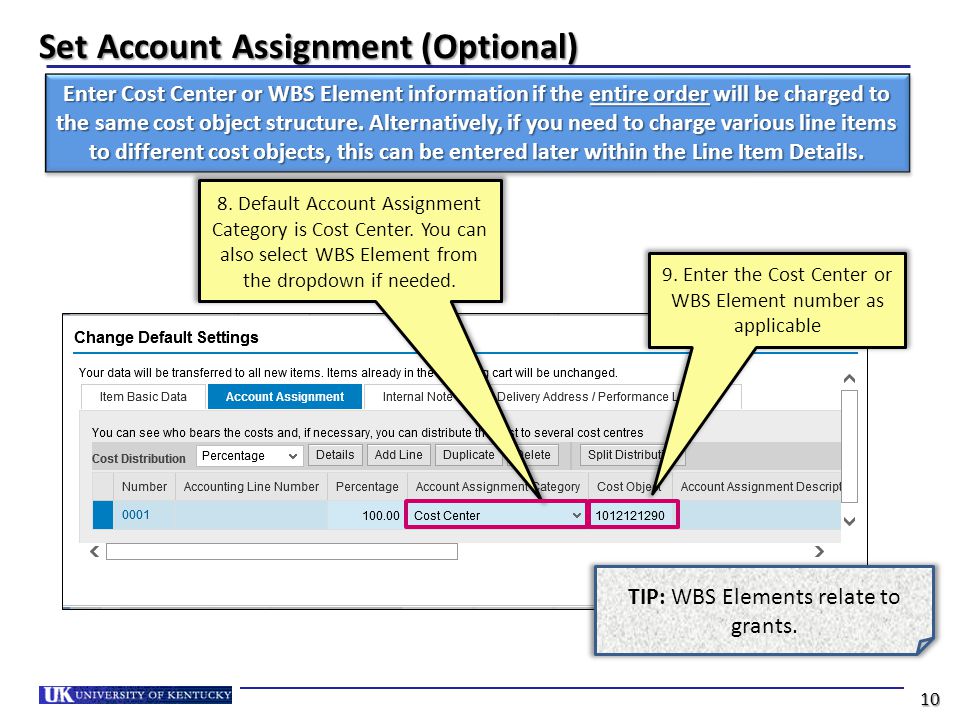 Set Account Assignment (Optional)