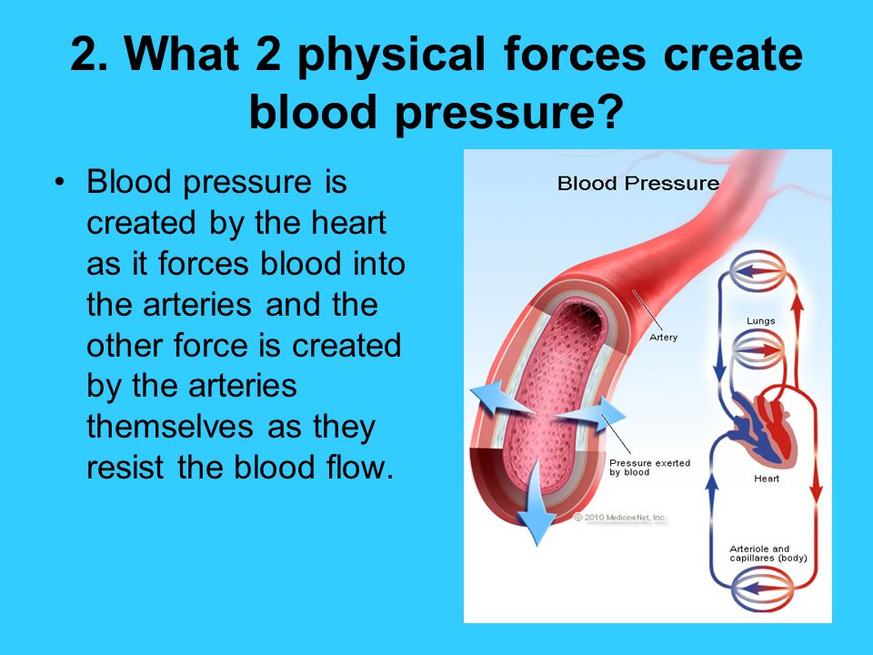 2. What 2 physical forces create blood pressure
