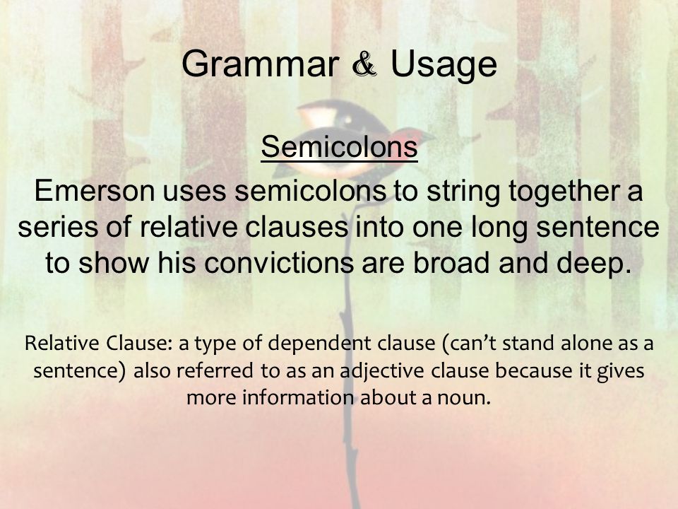 Grammar & Usage Semicolons
