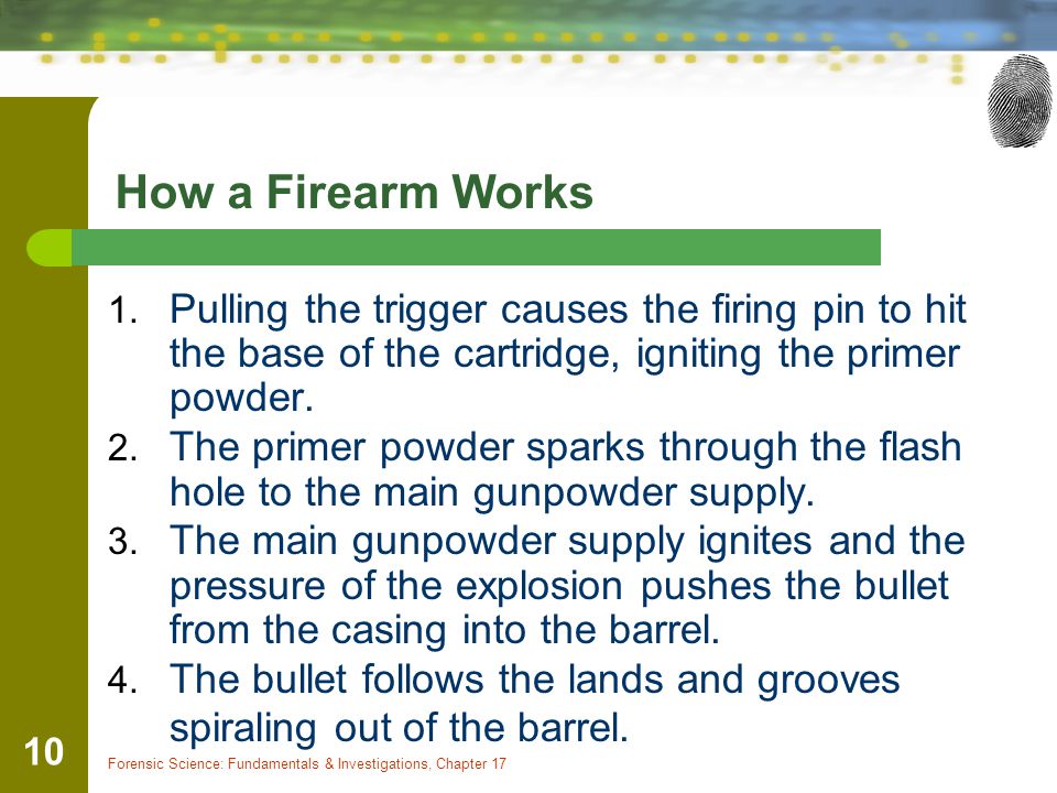 How a Firearm Works Pulling the trigger causes the firing pin to hit the base of the cartridge, igniting the primer powder.